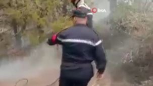 Cezayir'deki orman yangınlarında can kaybı 41'e yükseldi.