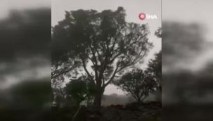Fransa'nın Korsika Adası'nda fırtına