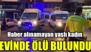 Haber alınamayan yaşlı kadın evinde ölü bulundu