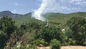 Hatay'da çıkan orman yangını kontrol altına alındı