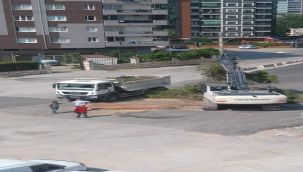 İzmir Büyükşehir Belediyesi yarım asırlık ağacı kesti!