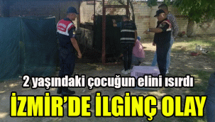 İzmir'de ilginç olay:  2 yaşındaki çocuğun elini ısırdı