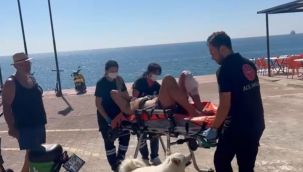 Kendisi için bıçaklanan sahibine köpekten duygulandıran vefa