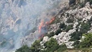 Marmaris'te makilik alanda yangın çıktı