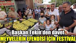 Meyvelerin efendisi için festival: Başkan Tekin'den davet