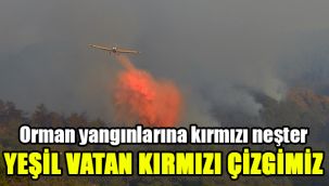Orman yangınlarına kırmızı neşter: Yeşil vatan kırmızı çizgimiz