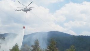 Tavşanlı'da orman yangını helikopter desteği ile kısa sürede söndürüldü