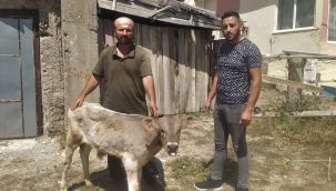 Yaptığı hareketle insanlık ölmemiş dedirtti