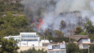 Antalya'da orman yangını: Havadan ve karadan müdahale sürüyor