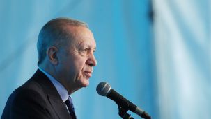 Cumhurbaşkanı Erdoğan'dan tahıl sevkiyatı açıklaması: Putin rahatsız olmakta haklı