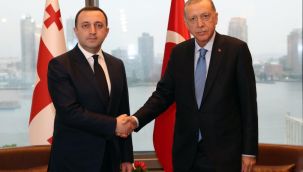 Cumhurbaşkanı Erdoğan, Gürcistan Başbakanı Garibaşvili ile bir araya geldi