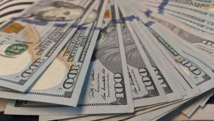 Dolar ve Euro ne kadar oldu