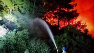 Marmaris'te orman yangını kontrol altına alındı