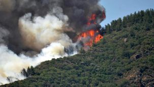 Marmaris'te orman yangınına havadan ve karadan müdahale başladı