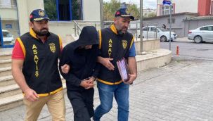 Yalova'da villalara giren hırsız yakalandı