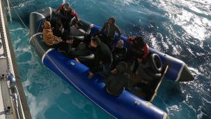 Aydın'da kaçak göçmen operasyonu