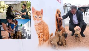 Bornova’da sokak canlarına özel ilgi: "Her türlü hizmeti sunuyoruz”