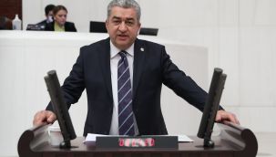 CHP'li Serter'den AK Parti'ye sağlık sistemi eleştirisi
