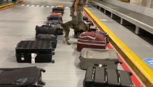 Gümrük muhafaza ekiplerinden operasyon