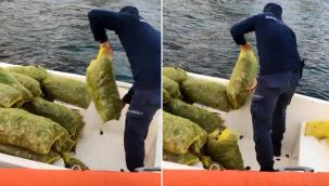 Kaçak midye avcıları yakalandı