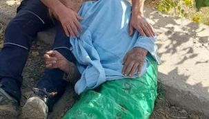 Malatya'da kayıp babaanne ve torun bulundu