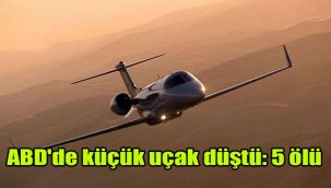 ABD'de küçük uçak düştü