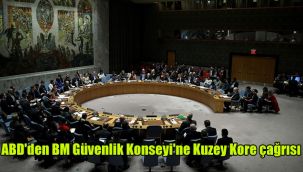 ABD'den BM Güvenlik Konseyi'ne Kuzey Kore çağrısı
