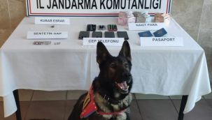 Nazilli’de fuhuş operasyonu