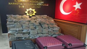 Şanlıurfa'da uyuşturucu operasyonu