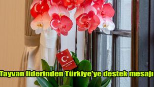 Tayvan liderinden Türkiye'ye destek mesajı