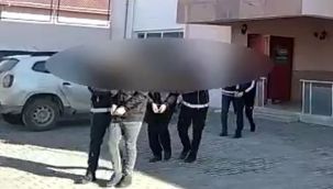Van'da 7 organizatör tutuklandı
