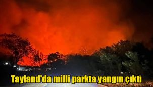 Tayland'da milli parkta yangın çıktı