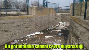 Bu görüntünün sebebi çevre duyarsızlığı