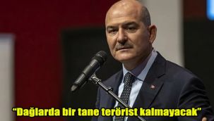 "Dağlarda bir tane terörist kalmayacak"