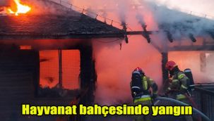 Hayvanat bahçesinde yangın