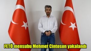 MİT'ten FETÖ operasyonu