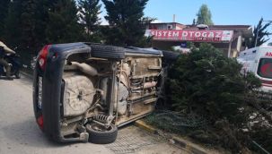 Refüjdeki ağaca çarpan otomobil devrildi
