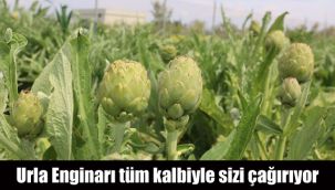Urla Enginarı tüm kalbiyle sizi çağırıyor