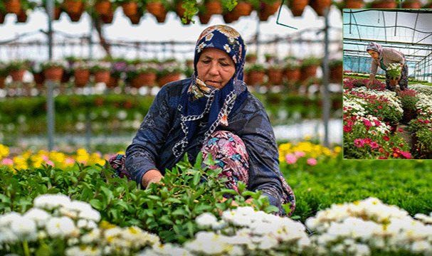 24. Uluslararası Bayındır Çiçek Festivali Başlıyor