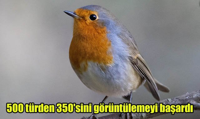 500 türden 350'sini görüntülemeyi başardı