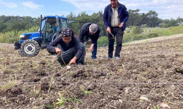 Bornova'da çiftçiye destek: "Türkiye'ye örnek olacak bir model"