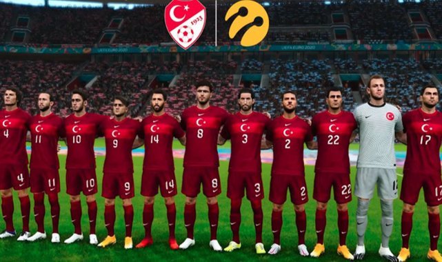 e-Milli Takım, Dünya Kupası'nda