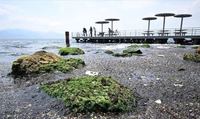 İZSU açıklama yaptı: İzmir Körfezi'nde müsilaj yok
