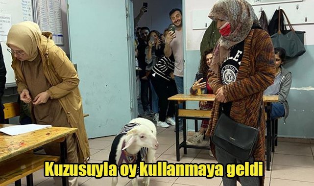 Kuzusuyla oy kullanmaya geldi
