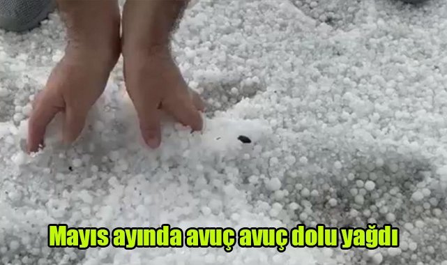 Mayıs ayında avuç avuç dolu yağdı