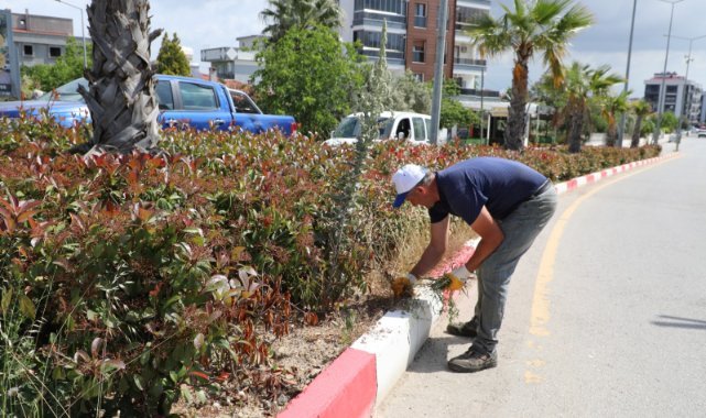 Menderes’te Ot Temizliği