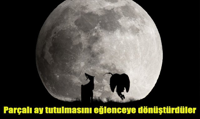 Parçalı ay tutulmasını eğlenceye dönüştürdüler