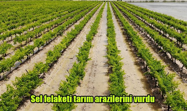 Sel felaketi tarım arazilerini vurdu