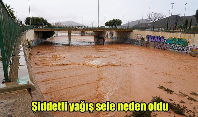Şiddetli yağış sele neden oldu