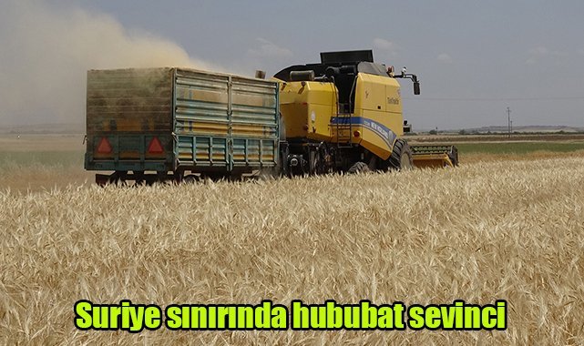 Suriye sınırında hububat sevinci